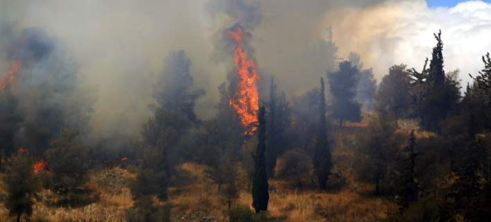 Φωτιά σε δασική έκταση στην Αλφειούσα Ηλείας (βίντεο)